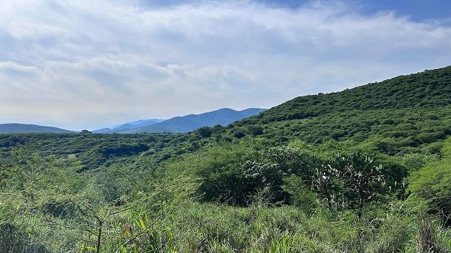 Convocan a limonenses a formar el Comité de Vigilancia Ambiental Participativa
