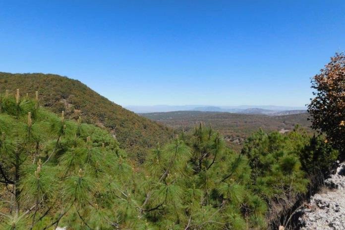 Buscan que el Bosque La Primavera sea declarado Geoparque Mundial por la UNESCO