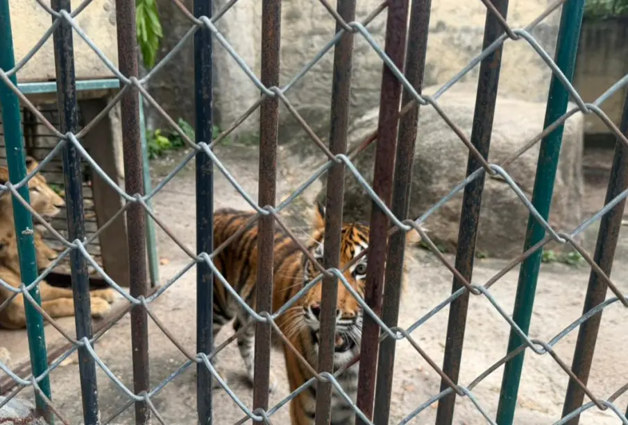 Denuncian abandono de el zoologico de Puerto Vallarta