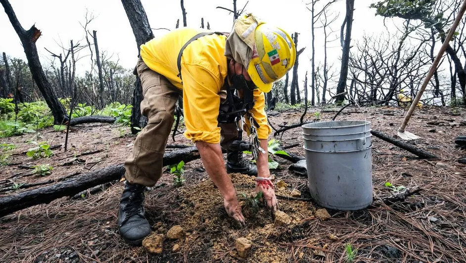 Celebran el Día Estatal del Bosque La Primavera entre arte, ciencia y denuncias por invasión