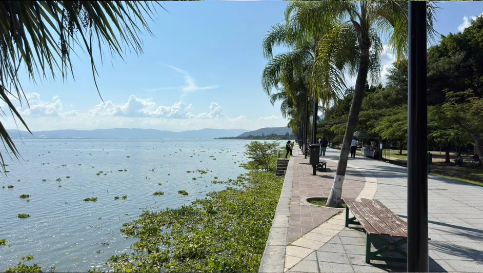Lago de Chapala luce lleno de vida por lo que seguirán defendiéndolo de la Presa Solís