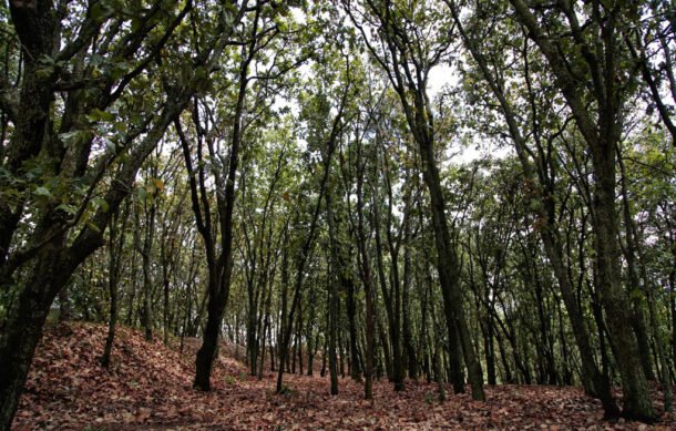 Buscan que La Primavera sea reconocido como geoparque