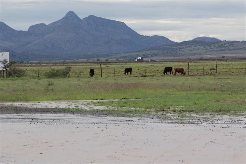 Arman foro sobre uso del agua en el campo
