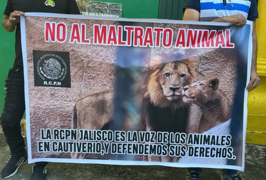 Activistas denuncian maltrato animal en el Zoológico de Puerto Vallarta y convocan a manifestación