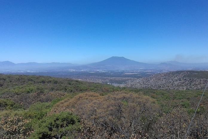 Ven abandono de la biodiversidad en primer año de Lemus