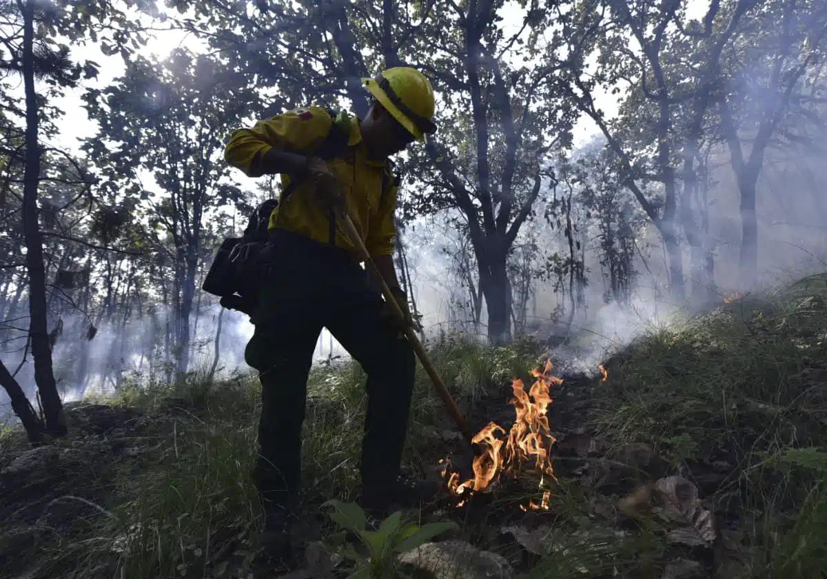 BRIGADAS DE PROTECCIÓN CIVIL REFUERZAN ACCIONES PREVENTIVAS CONTRA INCENDIOS FORESTALES EN JALISCO