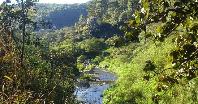 Buscan que pueblos originarios puedan decretar Áreas Naturales Protegidas