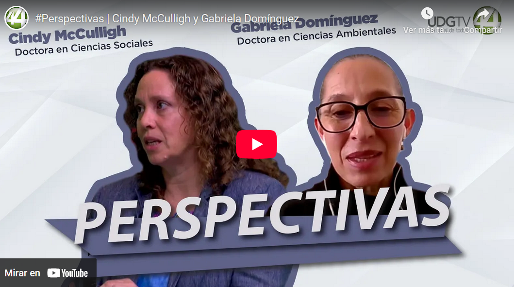 #Perspectivas | Cindy McCulligh y Gabriela Domínguez