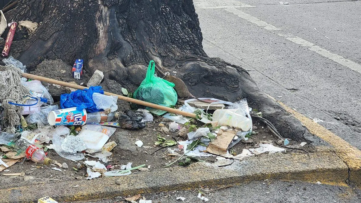 Diciembre: cuando la basura se multiplica y la ciudad no se da abasto