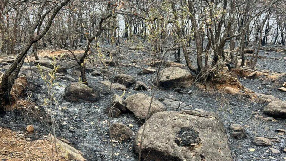 Hombre es vinculado a proceso por incendio forestal provocado en Cerro Viejo en Tlajomulco
