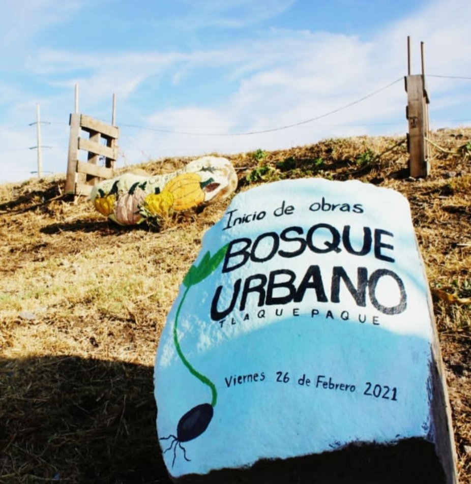 Una lucha a través del tiempo: Crónica del Bosque Urbano Tlaquepaque