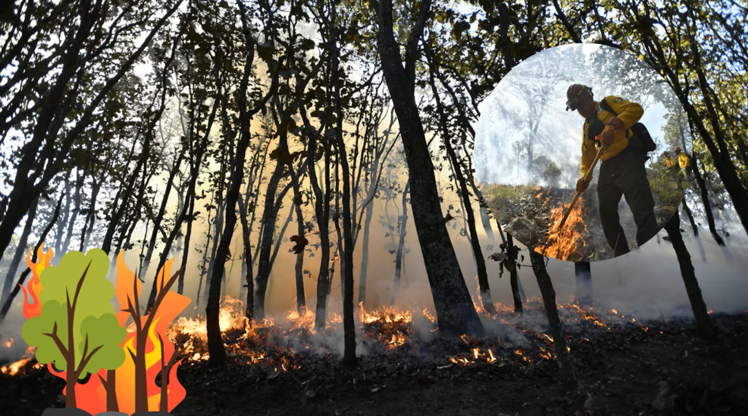 Prevén temporada de alto riesgo en Jalisco por incendios forestales; reportan tres quemas controladas