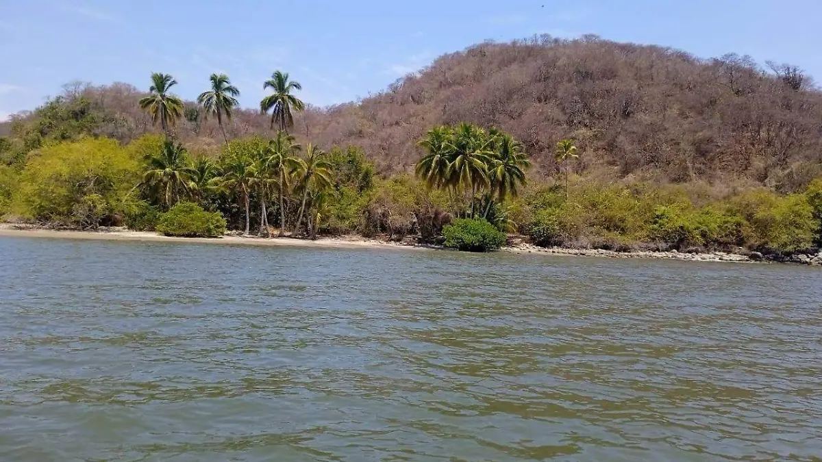 Puerto Nuevo Manzanillo no va: Semarnat niega permiso ambiental