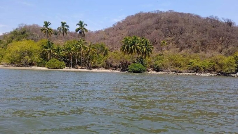 SEMARNAT niega autorización ambiental al proyecto Puerto Nuevo Manzanillo; comunidades exigen su cancelación definitiva