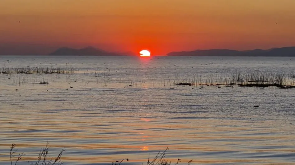 Lago de Chapala en crisis: especies invasoras y contaminación química amenazan al equilibrio ecológico; advierten especialistas de UDG