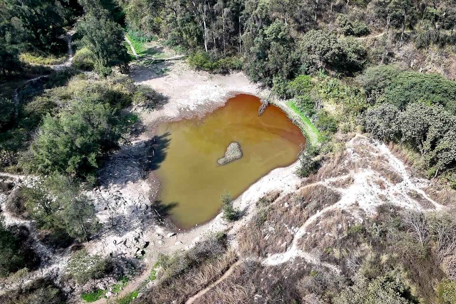 Analizan suelos del Bosque del Centinela para revertir erosión