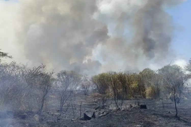 Acusan a corporativo de la UAG de incendio en Nixticuil