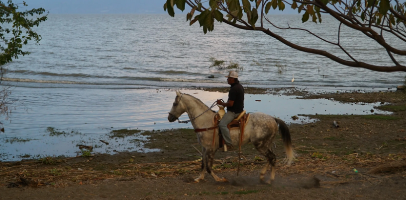 Chapala rumbo a una red global de conservación: El proyecto del LABTER ITESO