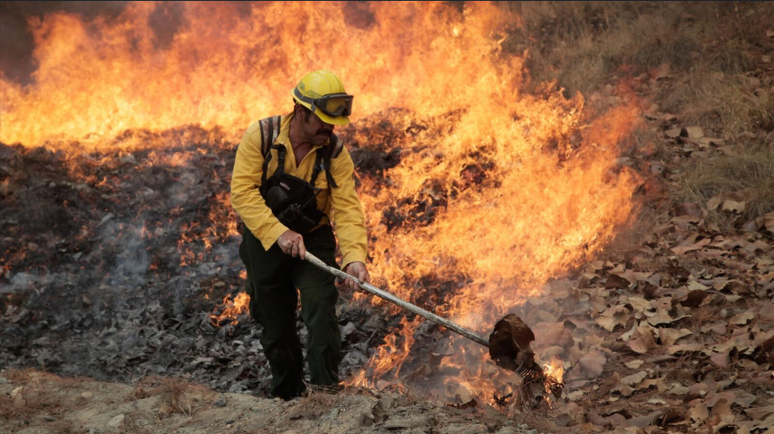 Mayo acumula más de siete mil 300 ha afectadas por incendios forestales en Jalisco