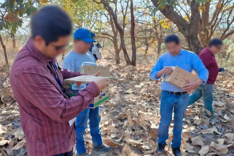 Asegura Profepa 99 aves en San Juan de Dios