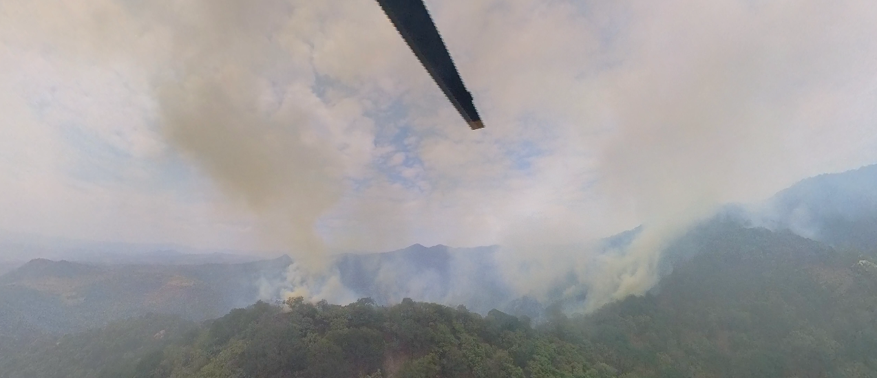 Avanzan un 50% en combate al incendio en Sierra de Quila