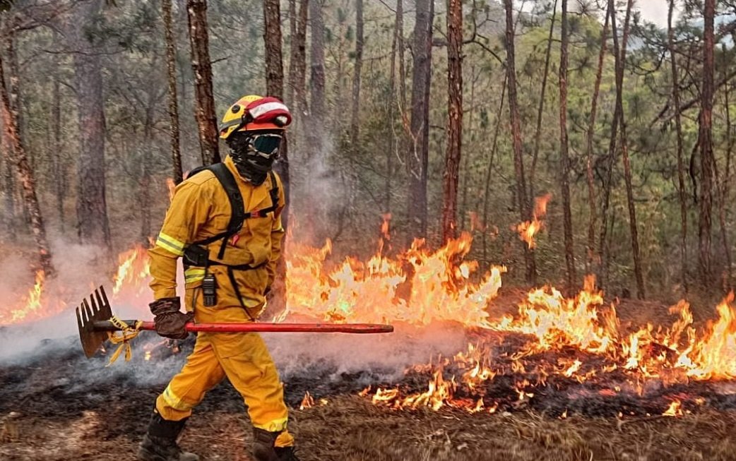 Cambio climático golpea a Jalisco; dispara riesgos ambientales y a la salud