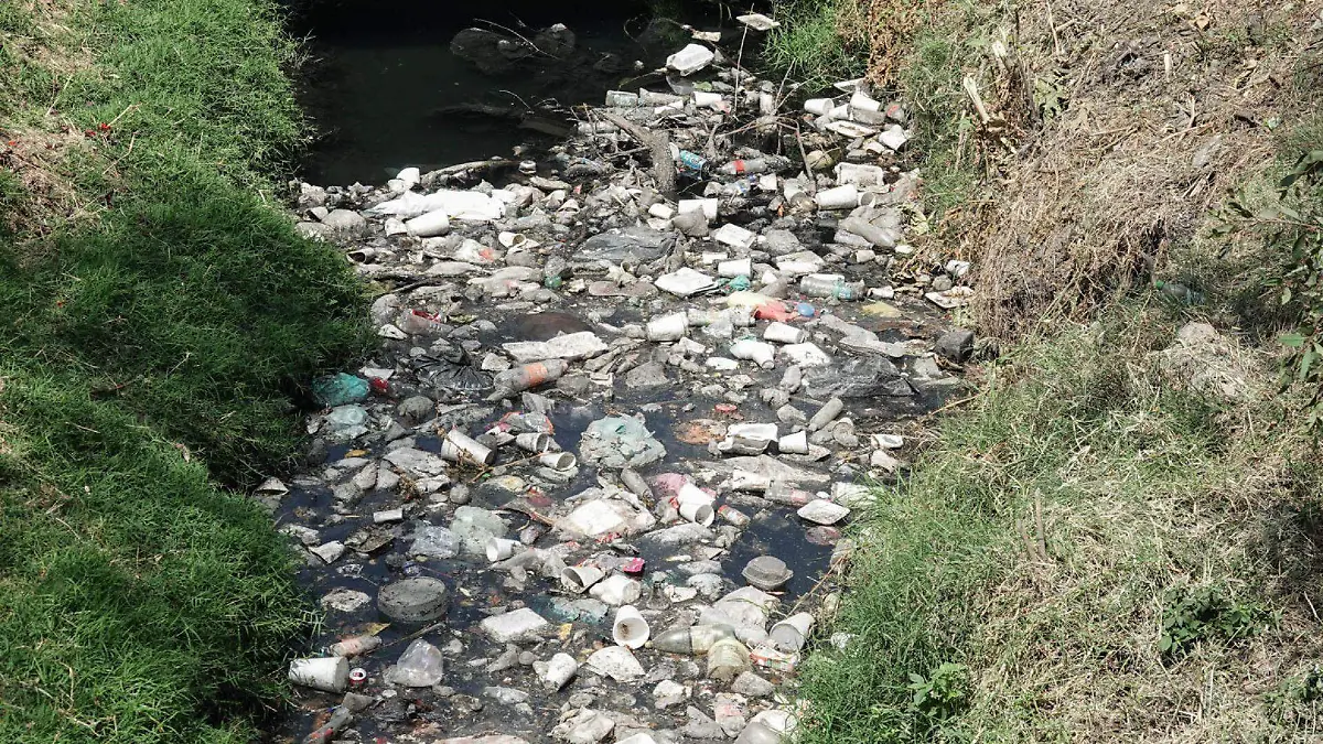 Zapopan reconoce dificultad para frenar tiraderos clandestinos, tras caso en El Nixticuil