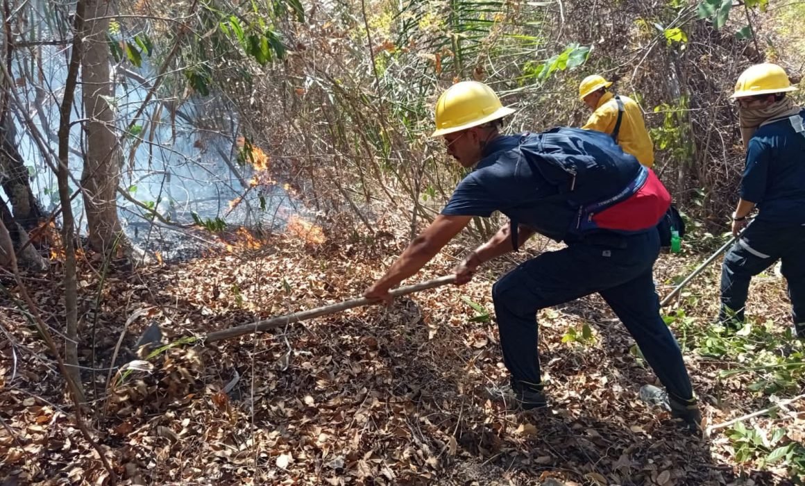 Incendio forestal al sur de Puerto Vallarta afecta 15 hectáreas