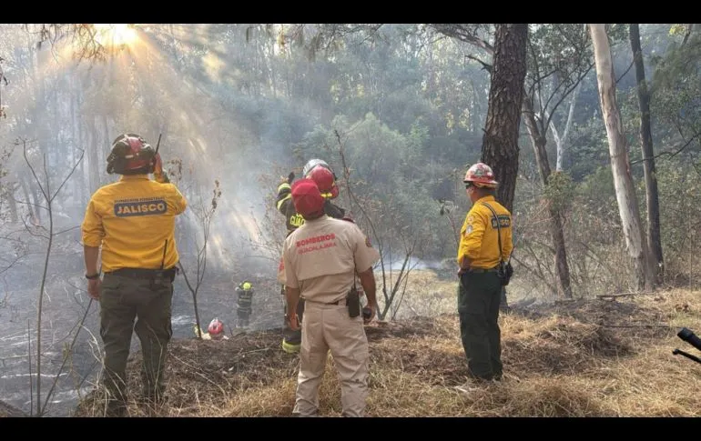 Controlan incendio en bosque Los Colomos tras operativo conjunto con apoyo aéreo
