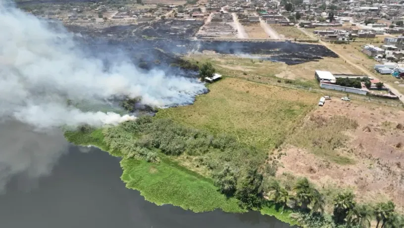 Incendio consume siete hectáreas en paraje El Gigante del Río Santiago, autoridades logran sofocarlo