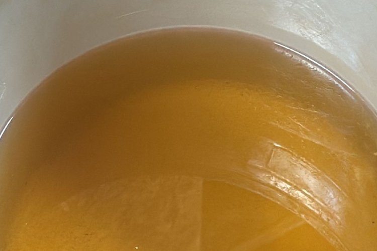 Impulsan petición para exigir agua limpia en Guadalajara