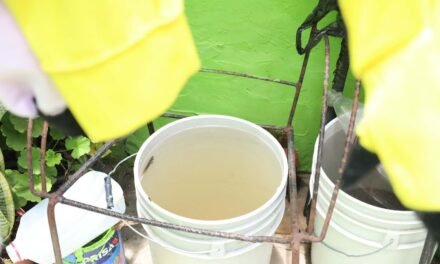GDL, con más quejas de agua contaminada