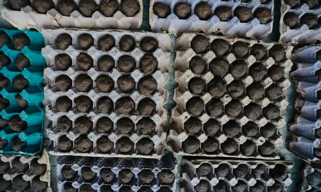 Va por 250 mil ‘bombas de vida’ durante el temporal de lluvias
