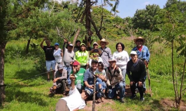 ¡Dejen el bosque en paz! Habitantes y organizaciones alertan cambio de uso de suelo en el Bosque Arboledas Sur, zona de recarga hidrológica en el AMG