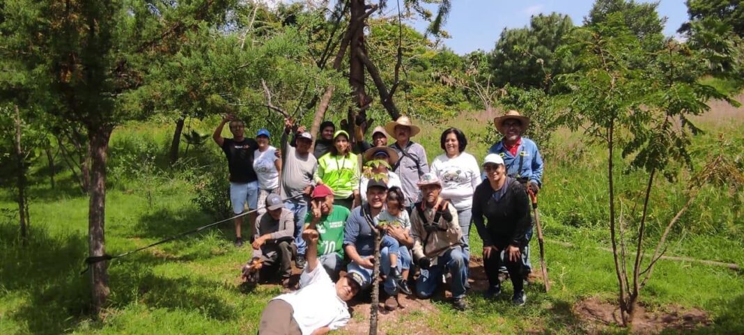 ¡Dejen el bosque en paz! Habitantes y organizaciones alertan cambio de uso de suelo en el Bosque Arboledas Sur, zona de recarga hidrológica en el AMG