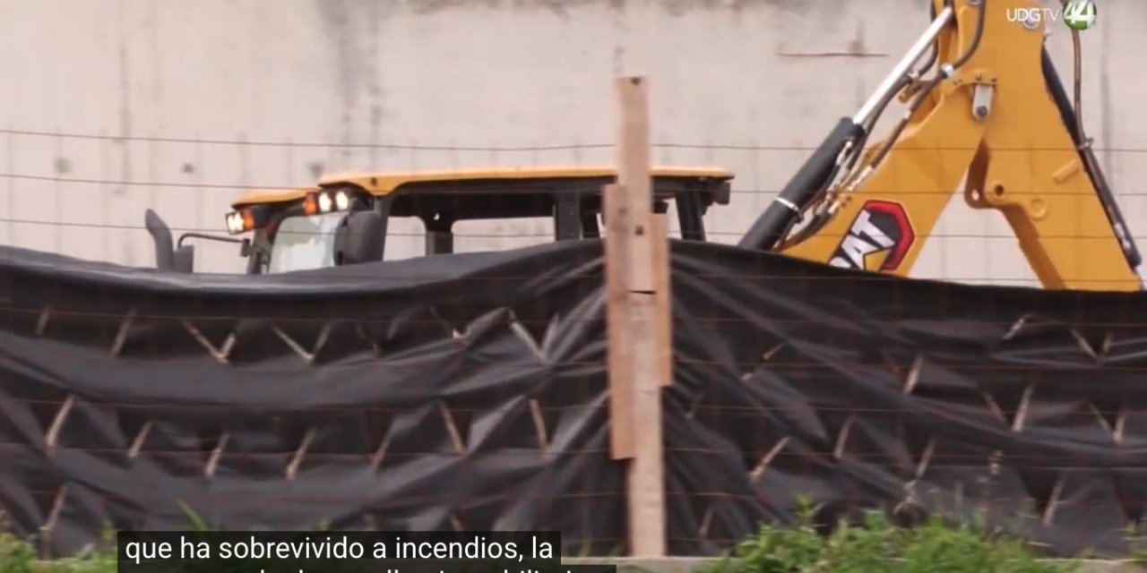 #Perspectivas || Ana Elizabeth Cabral, Integrante del Comité en Defensa del Bosque El Nixticuil