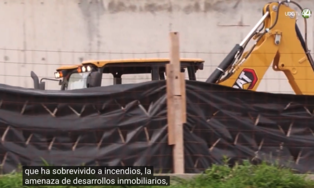 #Perspectivas || Ana Elizabeth Cabral, Integrante del Comité en Defensa del Bosque El Nixticuil