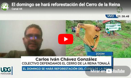 El domingo se hará reforestación del Cerro de la Reina