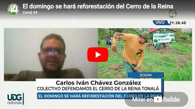 El domingo se hará reforestación del Cerro de la Reina