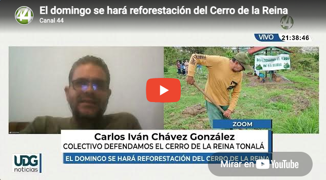 El domingo se hará reforestación del Cerro de la Reina