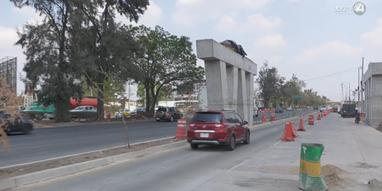 La deuda ambiental de la L5 | Parte I: Eliminan mil 541 árboles del área más contaminada