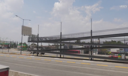 La deuda ambiental de la L5 | Parte 3: SIOP, el motor de la deforestación urbana