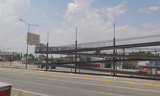 La deuda ambiental de la L5 | Parte 3: SIOP, el motor de la deforestación urbana