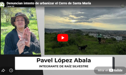 Denuncian intento de urbanizar el Cerro de Santa María