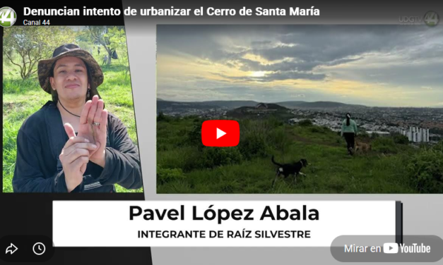 Denuncian intento de urbanizar el Cerro de Santa María