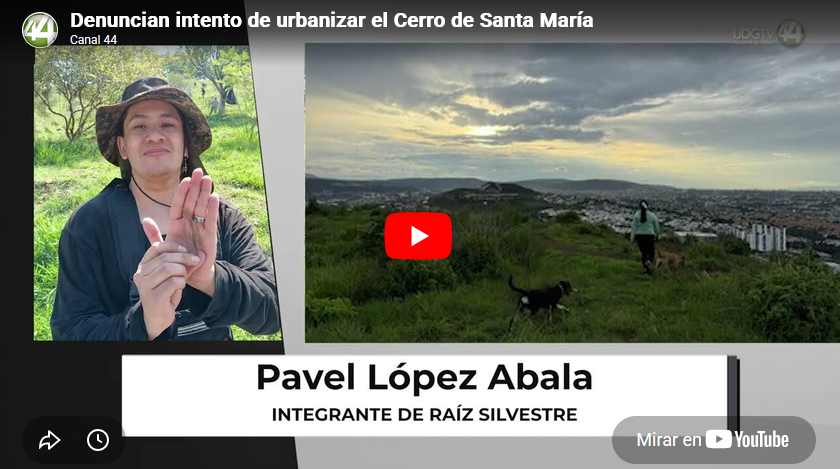 Denuncian intento de urbanizar el Cerro de Santa María