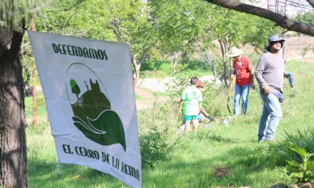 Realizan reforestación en el Cerro de la Reina