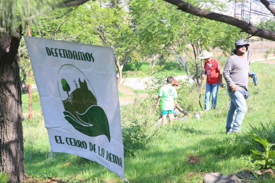 Realizan reforestación en el Cerro de la Reina