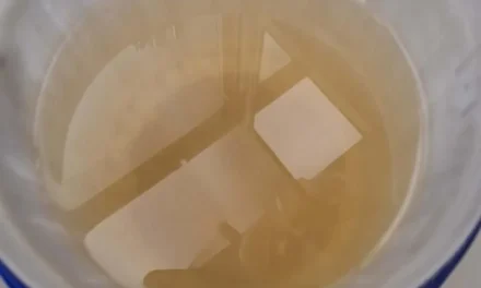 Agua llega ¡con larvas! al sur de Guadalajara