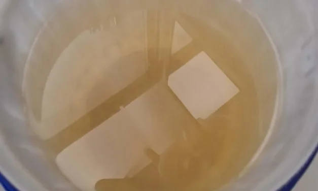 Agua llega ¡con larvas! al sur de Guadalajara